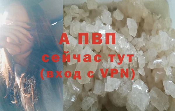 ПСИЛОЦИБИНОВЫЕ ГРИБЫ Надым