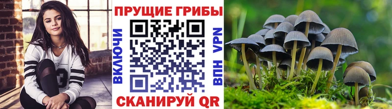Псилоцибиновые грибы MAGIC MUSHROOMS  Азнакаево 
